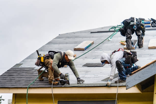 Professional Emergency Roof Repair technician working in Scales Mound, IL